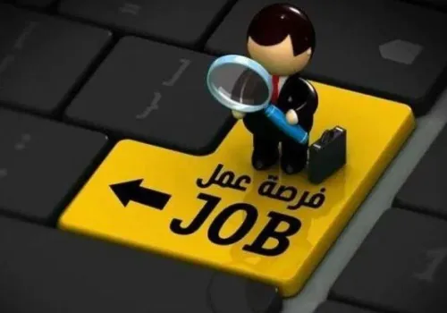 وظائف شاغرة في الجيزة براتب يصل إلى 12,500 جنيه: تفاصيل التخصصات والشروط وطريقة التقديم
